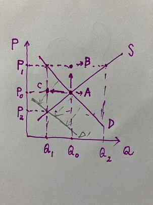 蛛網.jpg, 48 KB