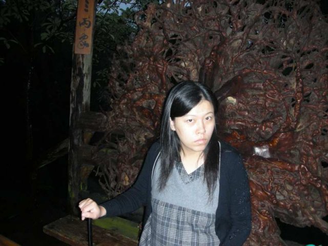 DSCN03110008.JPG, 83 KB