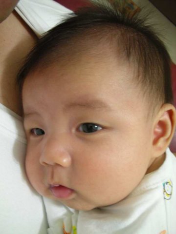 DSCN07020001.JPG, 50 KB