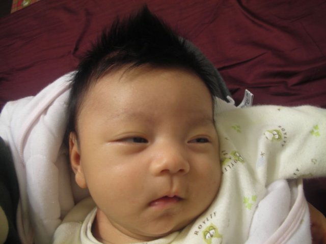 DSCN30110026.JPG, 78 KB
