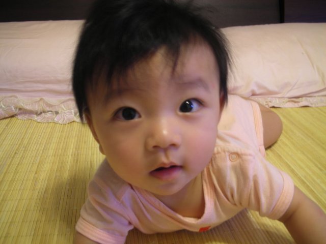 DSCN32840008.JPG, 93 KB