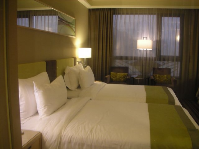 DSCN42230004.JPG, 85 KB
